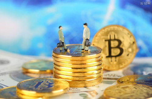 高中生挪用12万公款投资比特币失利轻生，警示投资风险与法律意识